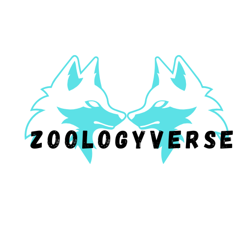 ZOOLOGYVERSE | Zoologyverse Zoologyverse