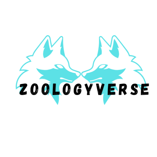 Disclaimer for Zoologyverse.com