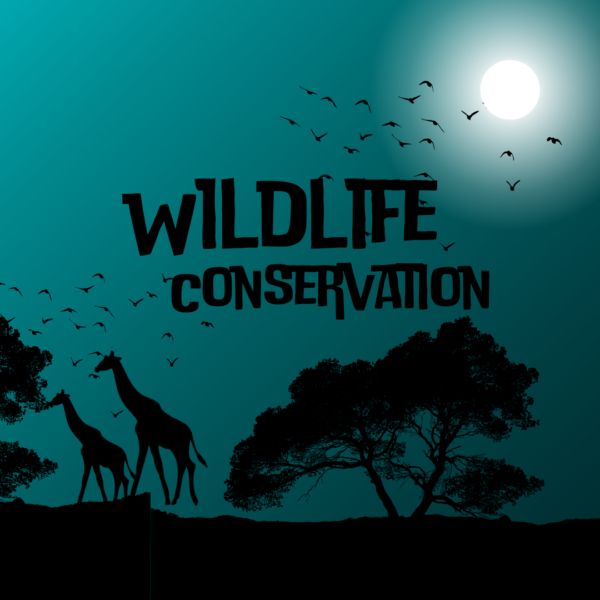 Wildlife Conservation : Importance | Threats | Conservation | Zoologyverse