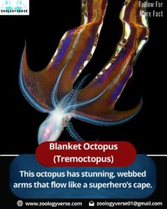 10 Recently Discovered Animal Species That Will Blow Your Mind