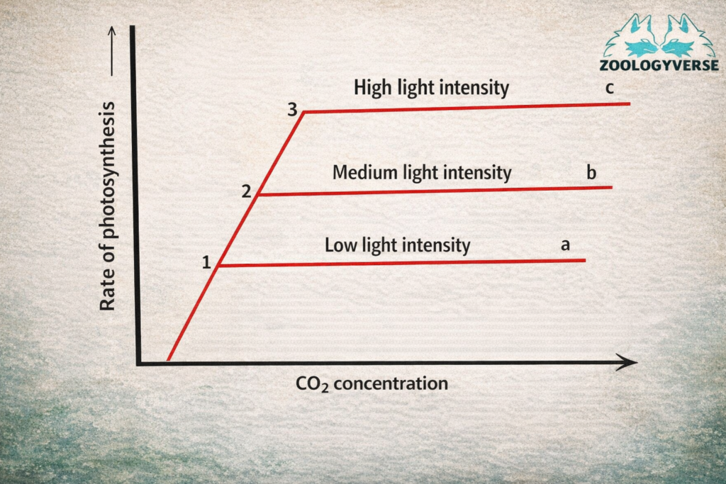 Environmental Limiting Factors