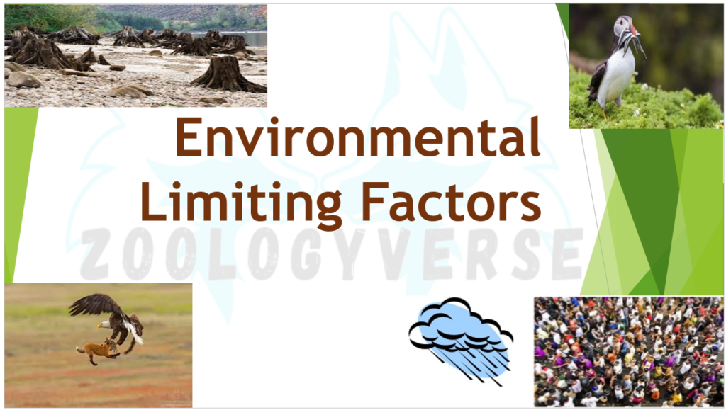 Environmental Limiting Factors