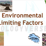 Environmental Limiting Factors