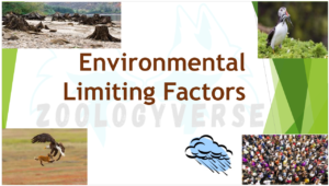 Environmental Limiting Factors