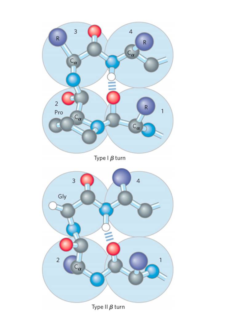 STRUCTURE OF PROTEIN