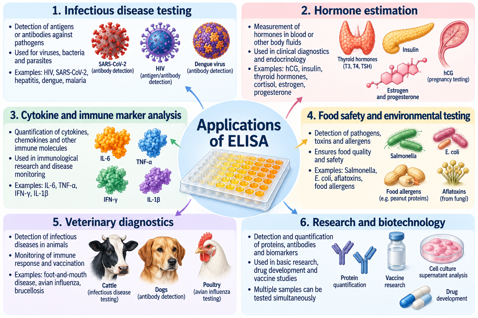 ELISA: Principle, Types, Procedure and Applications | Zoologyverse Applications of ELISA infographic showing infectious disease testing, hormone estimation, cytokine analysis, food safety testing, veterinary diagnostics, and biomedical research.