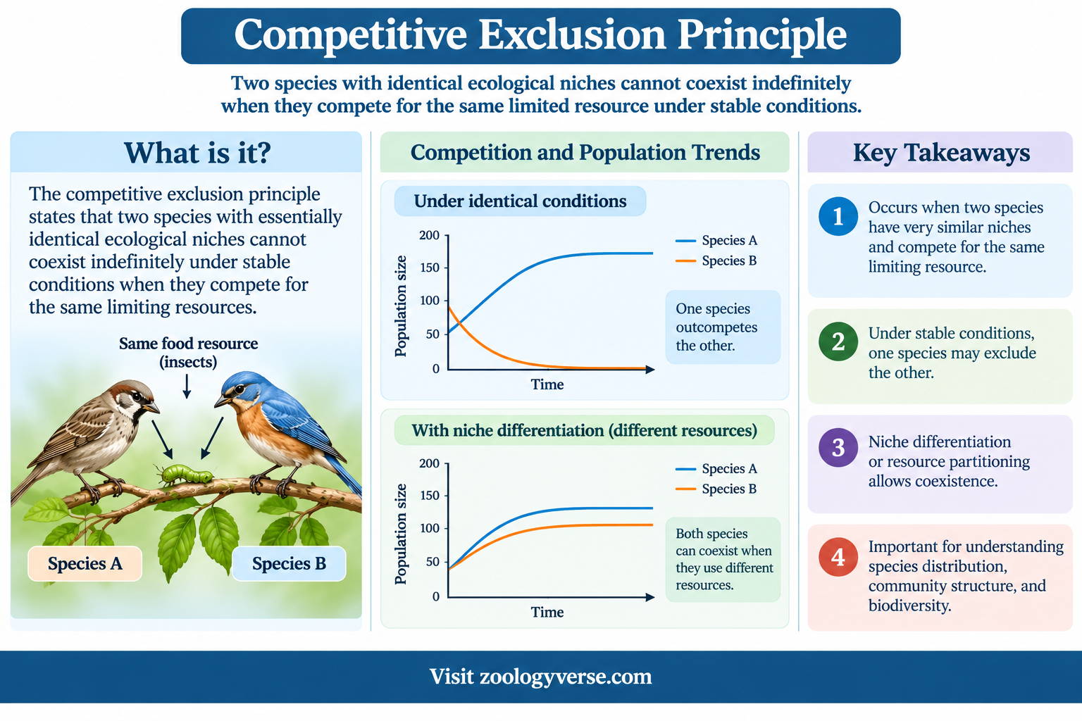 Ecological Niche: Definition, Types and Examples | Zoologyverse Ecological Niche and the competitive exclusion principle illustrated by two bird species competing for the same limited food resource.