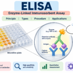 ELISA Principle, Types, Procedure and Applications