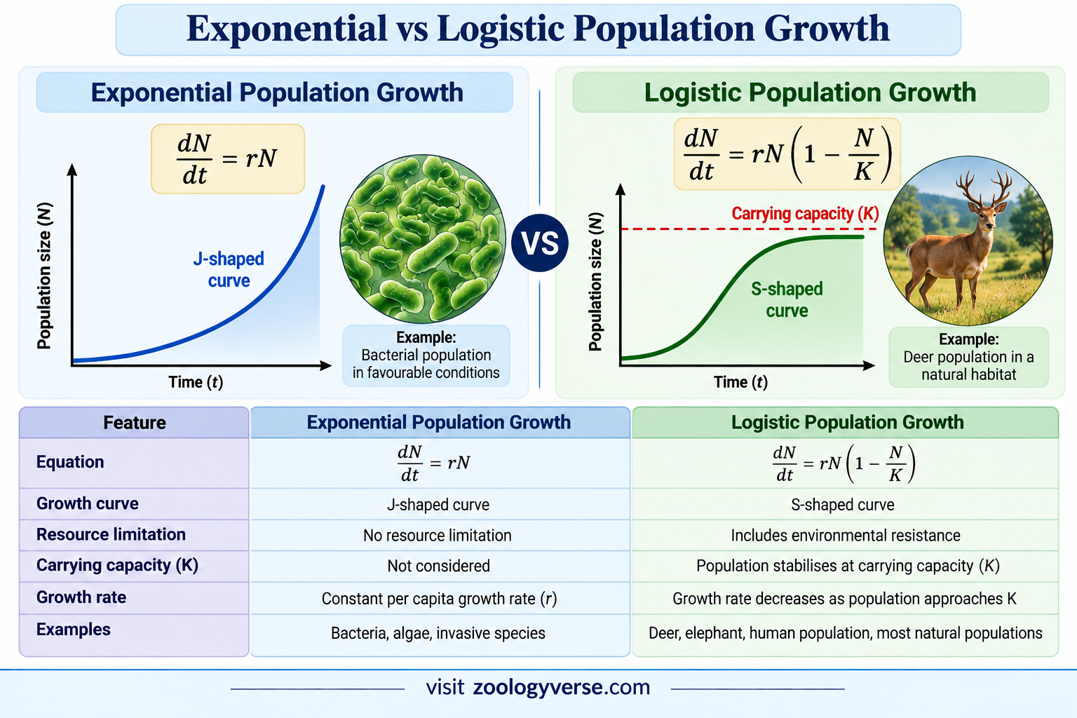 Exponential vs Logistic Population Growth | Zoologyverse Exponential vs Logistic Population Growth comparison of population growth models showing J-shaped and S-shaped curves, equations, resource limitations, and carrying capacity.