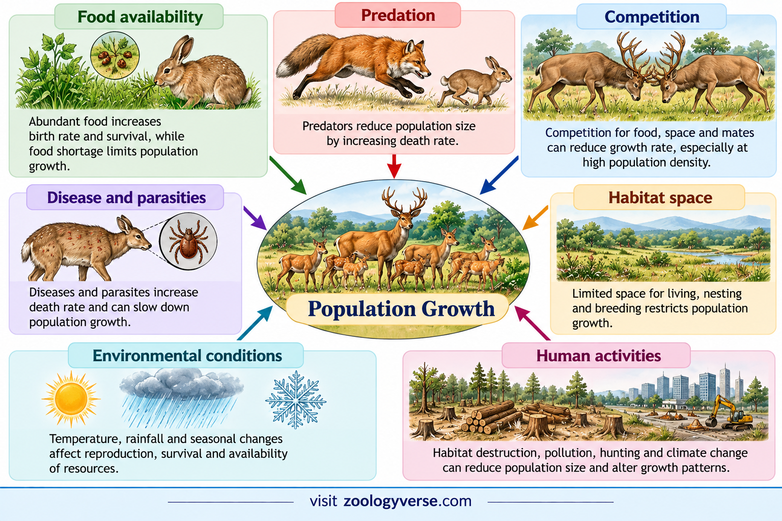 Exponential vs Logistic Population Growth | Zoologyverse Factors Affecting Population Growth in Ecology