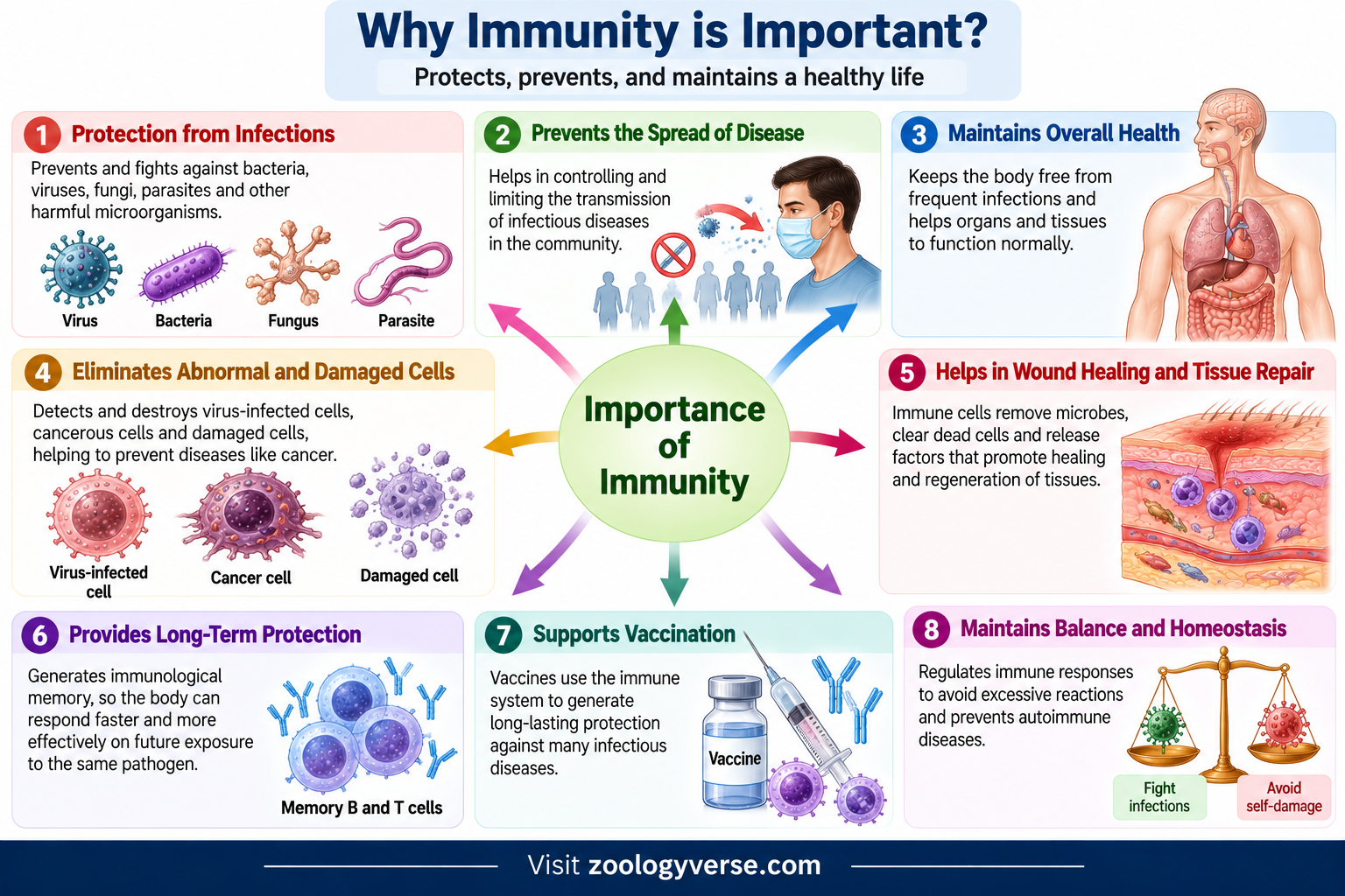 Importance of immunity showing protection from infections, disease control, tissue repair, immune memory and vaccination